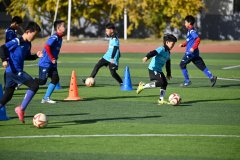 全国高校共专业点